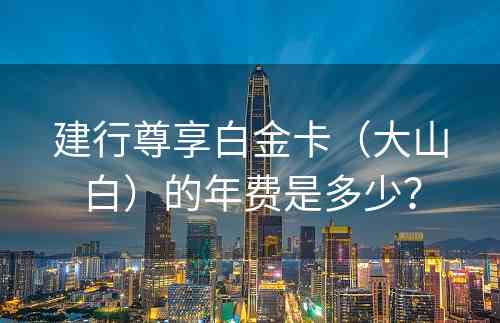 建行尊享白金卡（大山白）的年费是多少？