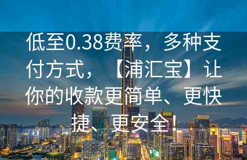 低至0.38费率，多种支付方式，【浦汇宝】让你的收款更简单、更快捷、更安全！