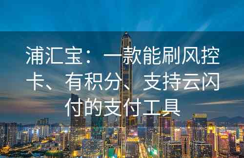 浦汇宝：一款能刷风控卡、有积分、支持云闪付的支付工具