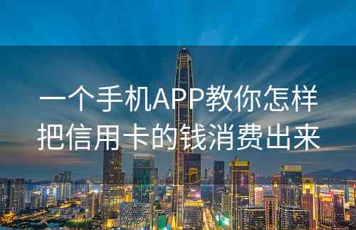 一个手机APP教你怎样把信用卡的钱消费出来