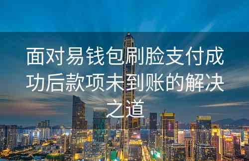 面对易钱包刷脸支付成功后款项未到账的解决之道