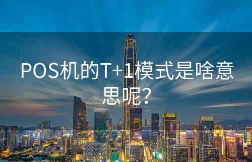 POS机的T+1模式是啥意思呢？