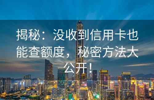 揭秘：没收到信用卡也能查额度，秘密方法大公开！