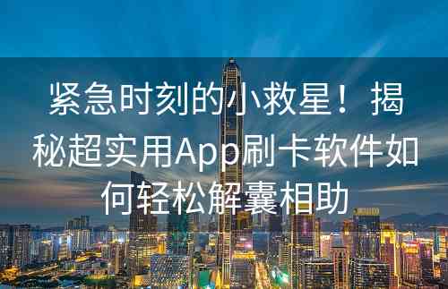 紧急时刻的小救星！揭秘超实用App刷卡软件如何轻松解囊相助