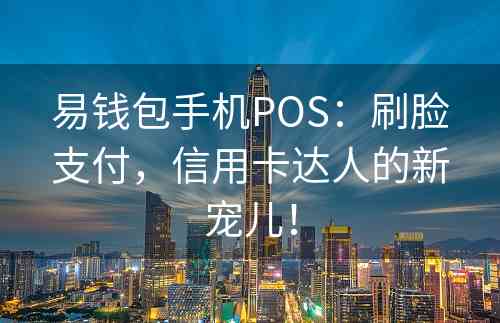 易钱包手机POS：刷脸支付，信用卡达人的新宠儿！