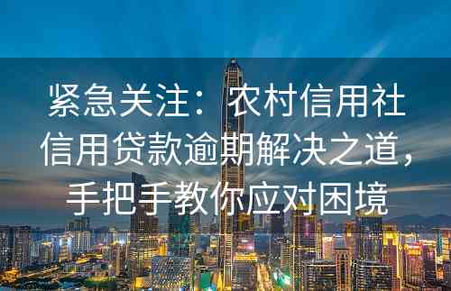 紧急关注：农村信用社信用贷款逾期解决之道，手把手教你应对困境