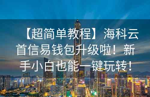 【超简单教程】海科云首信易钱包升级啦！新手小白也能一键玩转！