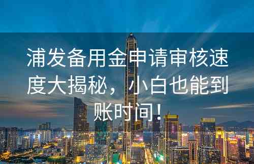 浦发备用金申请审核速度大揭秘，小白也能到账时间！