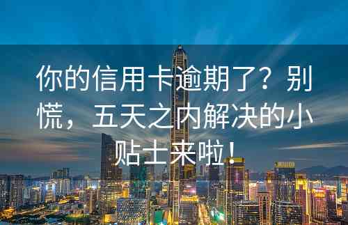 你的信用卡逾期了？别慌，五天之内解决的小贴士来啦！