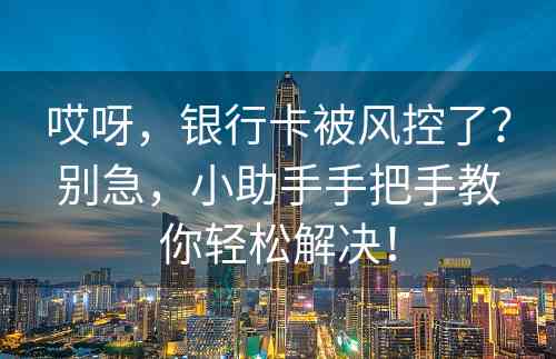 哎呀，银行卡被风控了？别急，小助手手把手教你轻松解决！