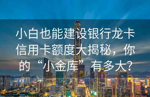 小白也能建设银行龙卡信用卡额度大揭秘，你的“小金库”有多大？