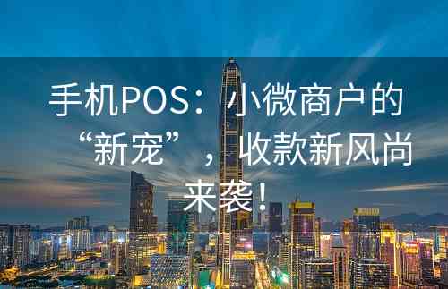 手机POS：小微商户的“新宠”，收款新风尚来袭！