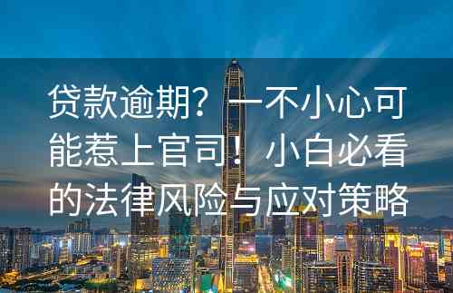 贷款逾期？一不小心可能惹上官司！小白必看的法律风险与应对策略