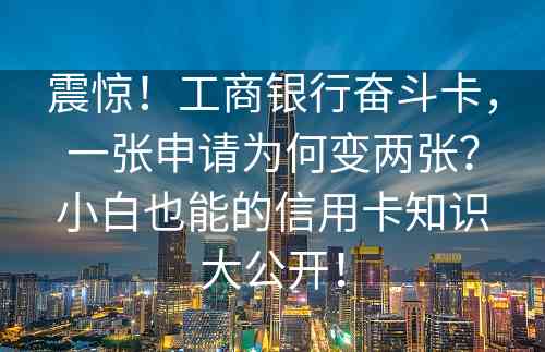 震惊！工商银行奋斗卡，一张申请为何变两张？小白也能的信用卡知识大公开！