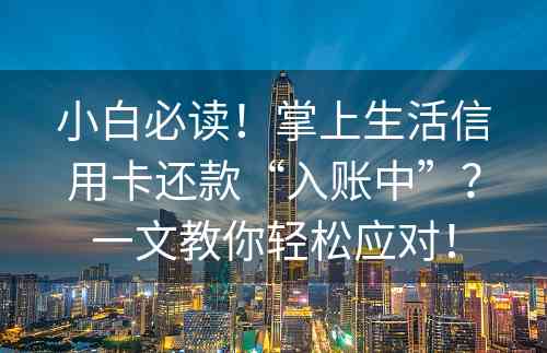 小白必读！掌上生活信用卡还款“入账中”？一文教你轻松应对！