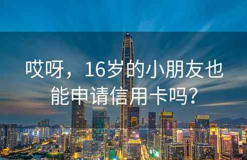 哎呀，16岁的小朋友也能申请信用卡吗？