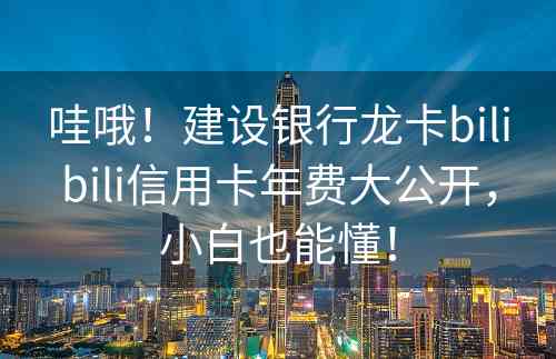 哇哦！建设银行龙卡bilibili信用卡年费大公开，小白也能懂！