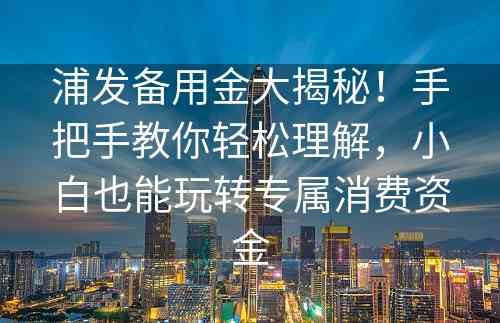 浦发备用金大揭秘！手把手教你轻松理解，小白也能玩转专属消费资金