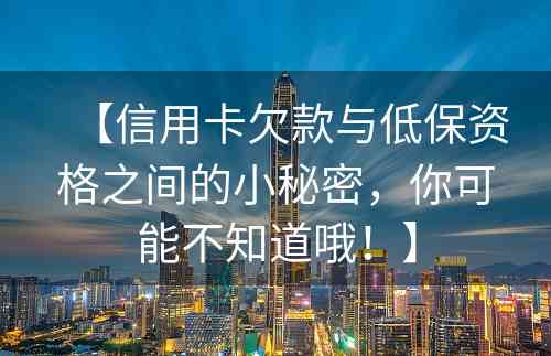 【信用卡欠款与低保资格之间的小秘密，你可能不知道哦！】