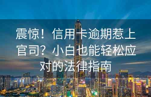 震惊！信用卡逾期惹上官司？小白也能轻松应对的法律指南