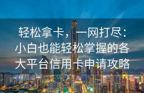 轻松拿卡，一网打尽：小白也能轻松掌握的各大平台信用卡申请攻略