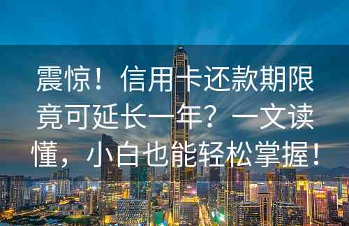 震惊！信用卡还款期限竟可延长一年？一文读懂，小白也能轻松掌握！