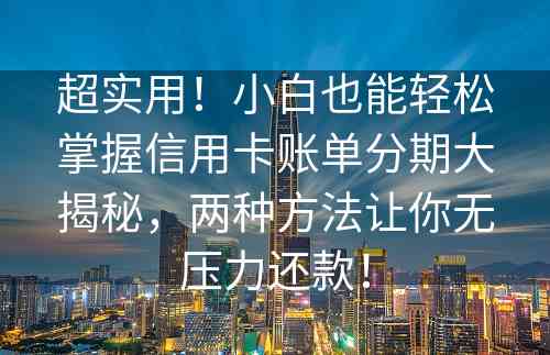 超实用！小白也能轻松掌握信用卡账单分期大揭秘，两种方法让你无压力还款！