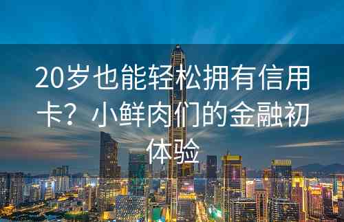 20岁也能轻松拥有信用卡？小鲜肉们的金融初体验