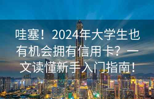 哇塞！2024年大学生也有机会拥有信用卡？一文读懂新手入门指南！