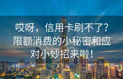 哎呀，信用卡刷不了？限额消费的小秘密和应对小妙招来啦！