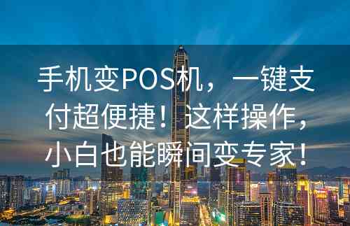 手机变POS机，一键支付超便捷！这样操作，小白也能瞬间变专家！