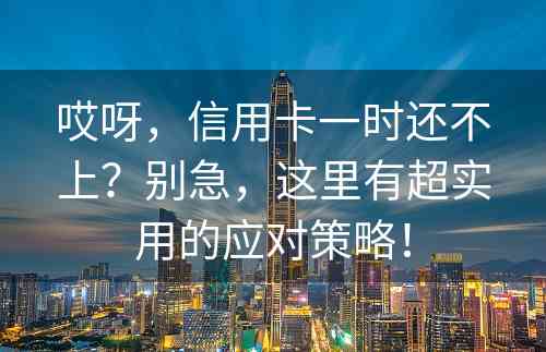 哎呀，信用卡一时还不上？别急，这里有超实用的应对策略！