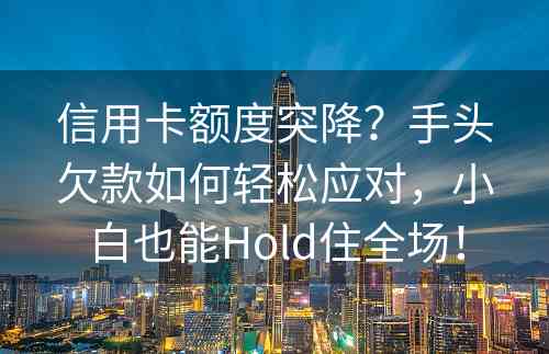 信用卡额度突降？手头欠款如何轻松应对，小白也能Hold住全场！