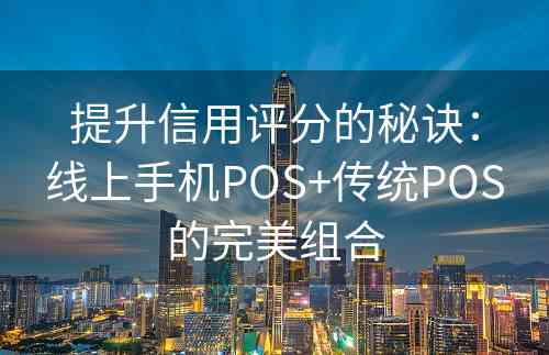 提升信用评分的秘诀：线上手机POS+传统POS的完美组合