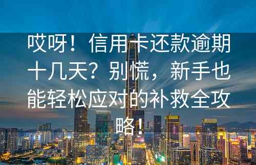 哎呀！信用卡还款逾期十几天？别慌，新手也能轻松应对的补救全攻略！