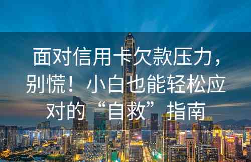 面对信用卡欠款压力，别慌！小白也能轻松应对的“自救”指南