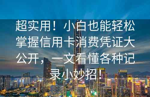 超实用！小白也能轻松掌握信用卡消费凭证大公开，一文看懂各种记录小妙招！