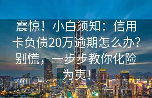 震惊！小白须知：信用卡负债20万逾期怎么办？别慌，一步步教你化险为夷！