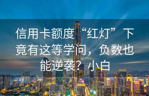 信用卡额度“红灯”下竟有这等学问，负数也能逆袭？小白