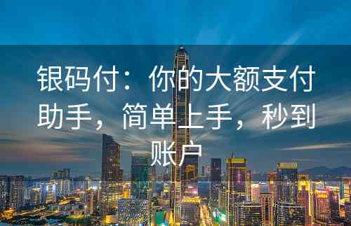 银码付：你的大额支付助手，简单上手，秒到账户