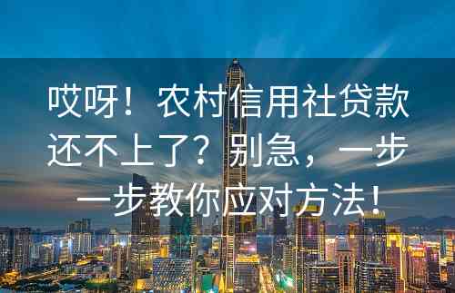 哎呀！农村信用社贷款还不上了？别急，一步一步教你应对方法！