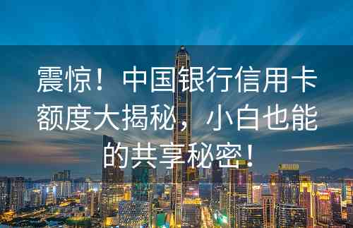 震惊！中国银行信用卡额度大揭秘，小白也能的共享秘密！