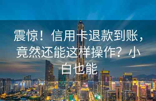 震惊！信用卡退款到账，竟然还能这样操作？小白也能