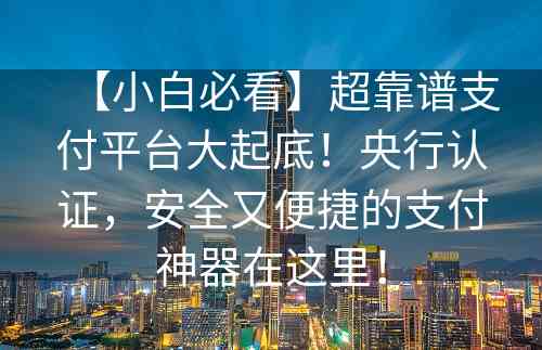 【小白必看】超靠谱支付平台大起底！央行认证，安全又便捷的支付神器在这里！