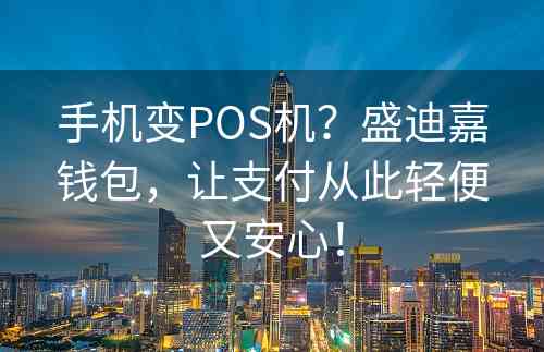 手机变POS机？盛迪嘉钱包，让支付从此轻便又安心！