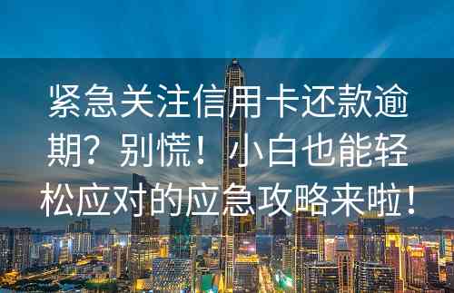 紧急关注信用卡还款逾期？别慌！小白也能轻松应对的应急攻略来啦！