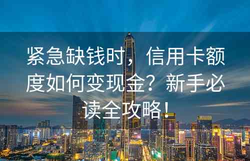 紧急缺钱时，信用卡额度如何变现金？新手必读全攻略！