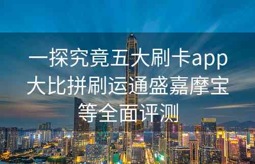 一探究竟五大刷卡app大比拼刷运通盛嘉摩宝等全面评测