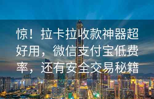 惊！拉卡拉收款神器超好用，微信支付宝低费率，还有安全交易秘籍