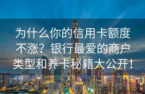 为什么你的信用卡额度不涨？银行最爱的商户类型和养卡秘籍大公开！